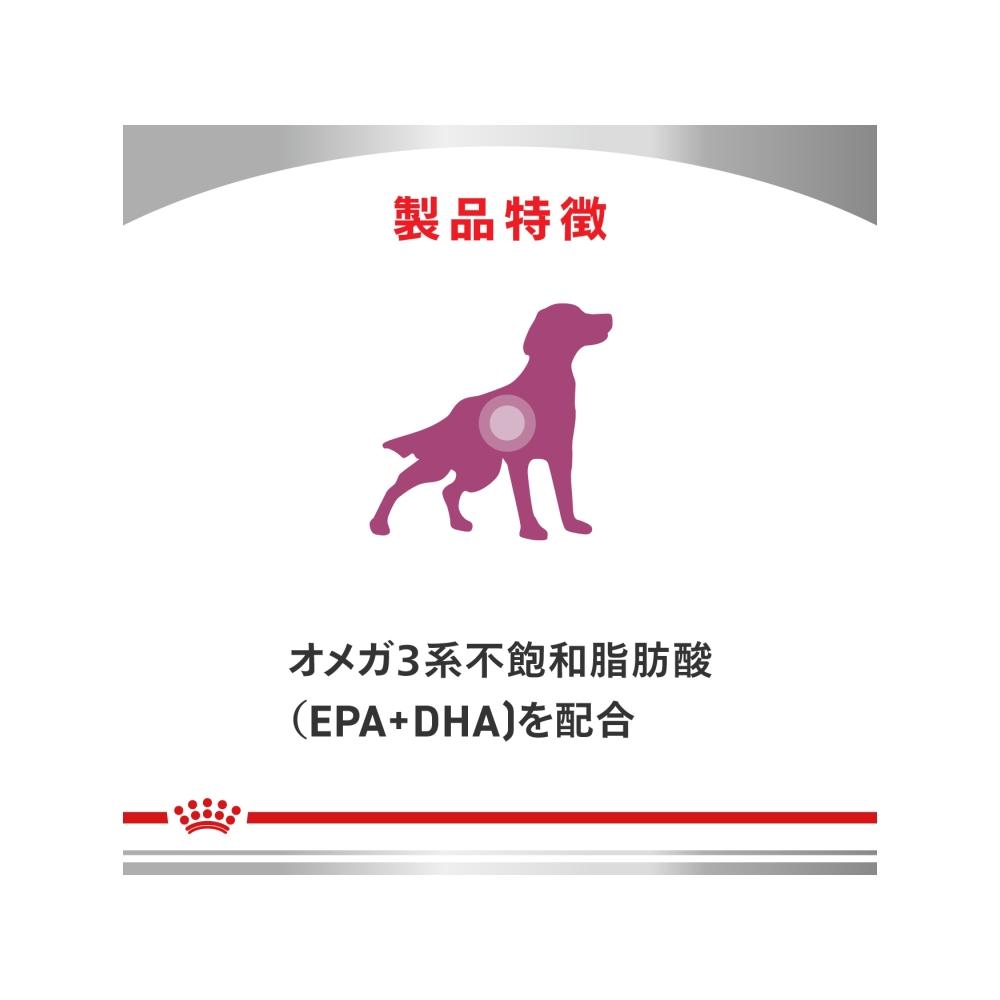 犬用 腎臓サポート＋低分子プロテイン 小粒 3kg×1