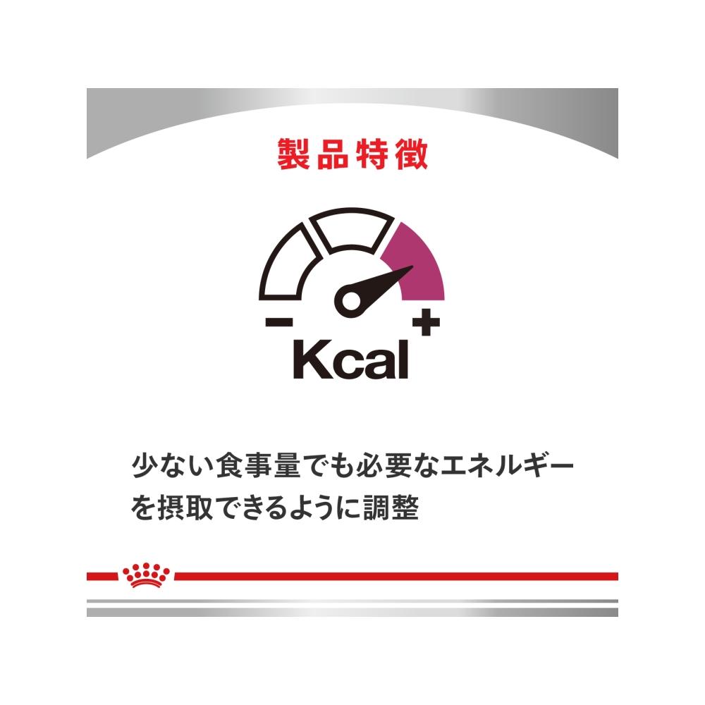 犬用 腎臓サポート＋低分子プロテイン 小粒 3kg×1