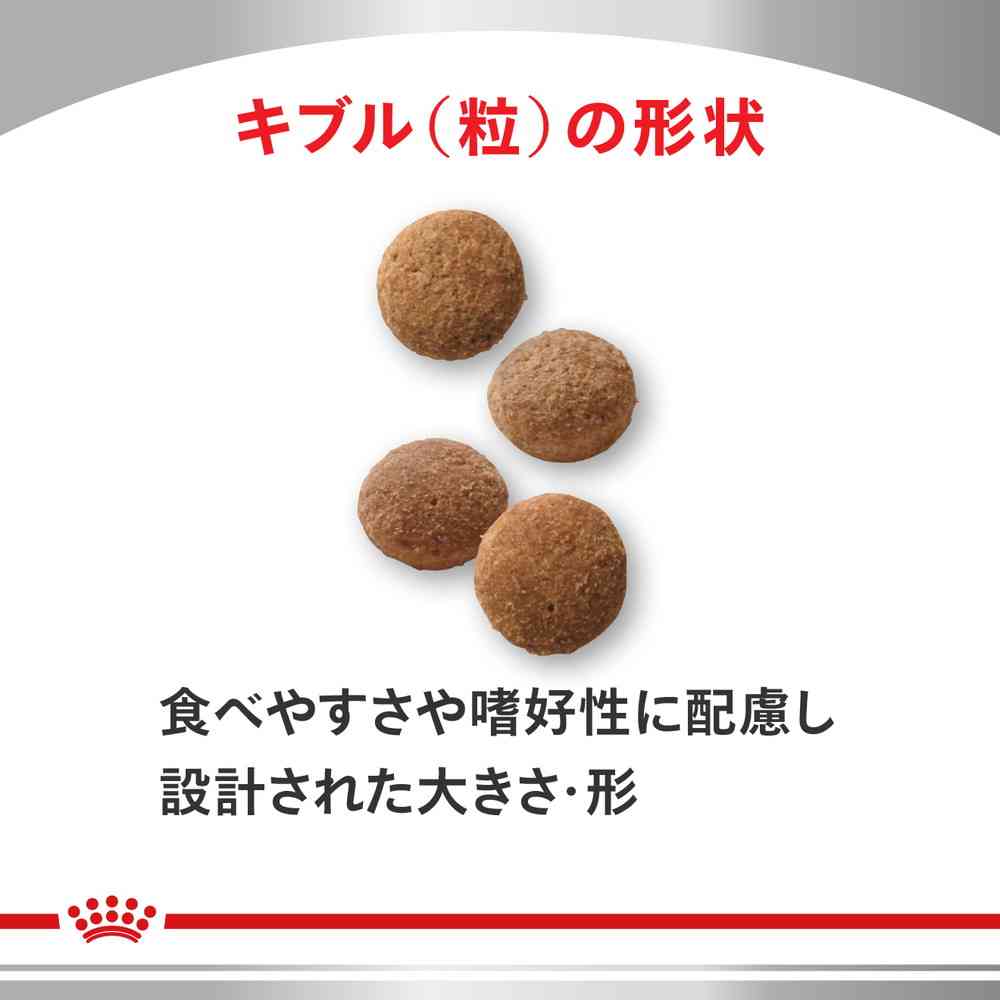 ユリナリーS/O＋CLT＋満腹感サポート 500g×1