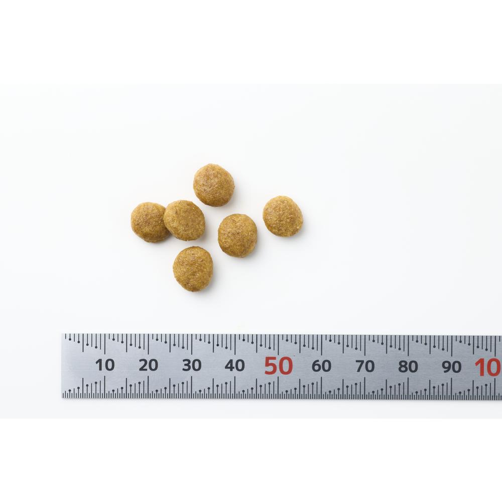 猫用 腎臓サポート+関節サポート 500g