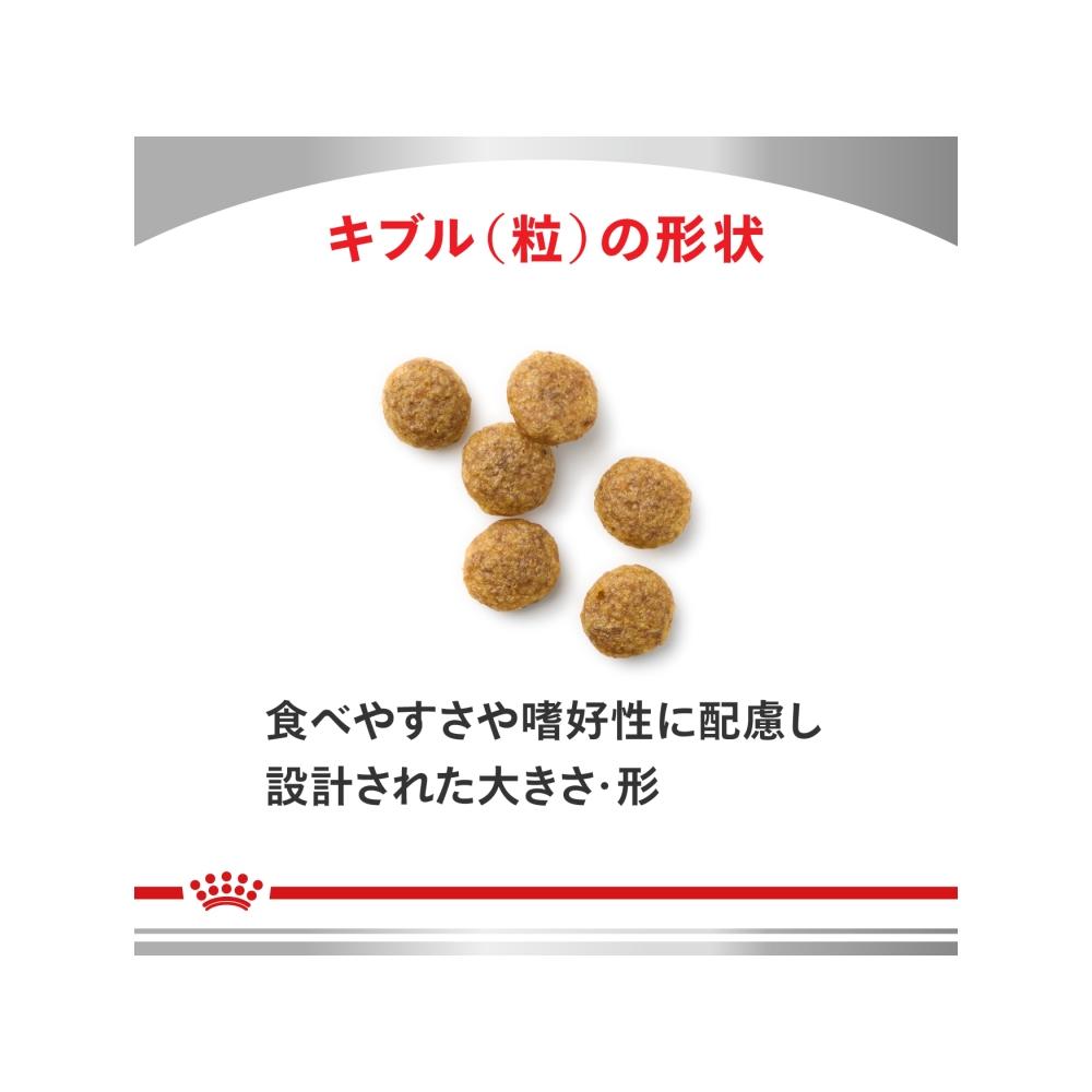 犬用 早期腎臓サポート 小粒 1kg