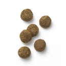 犬用 糖コントロール 小型犬用 1kg×1
