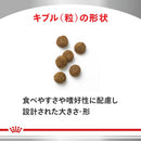 犬用 糖コントロール 小型犬用 3kg×1