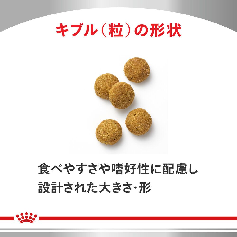 猫用 糖コントロール アドバンスト 2kg×1