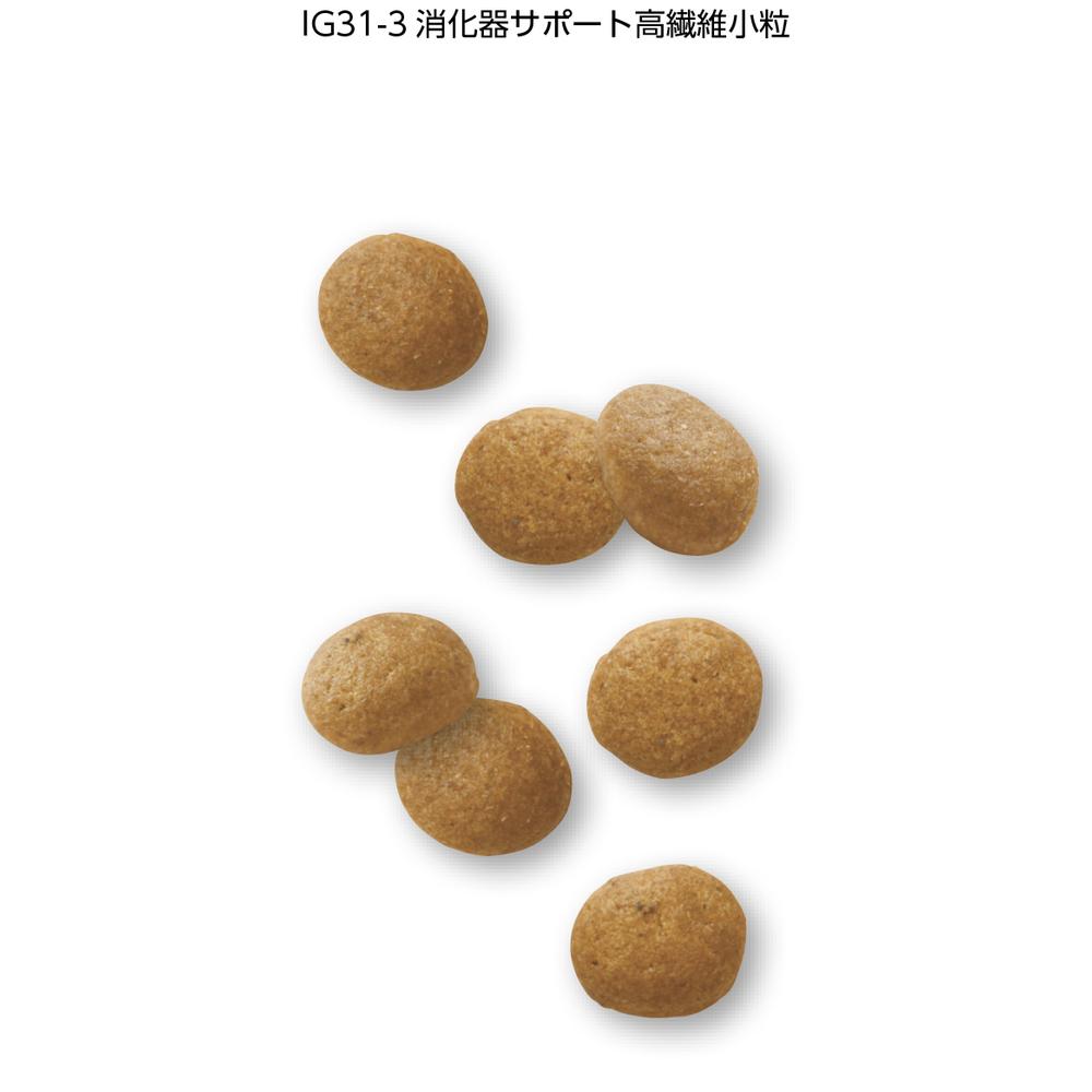 犬用 消化器サポート 高繊維 小粒 1kg