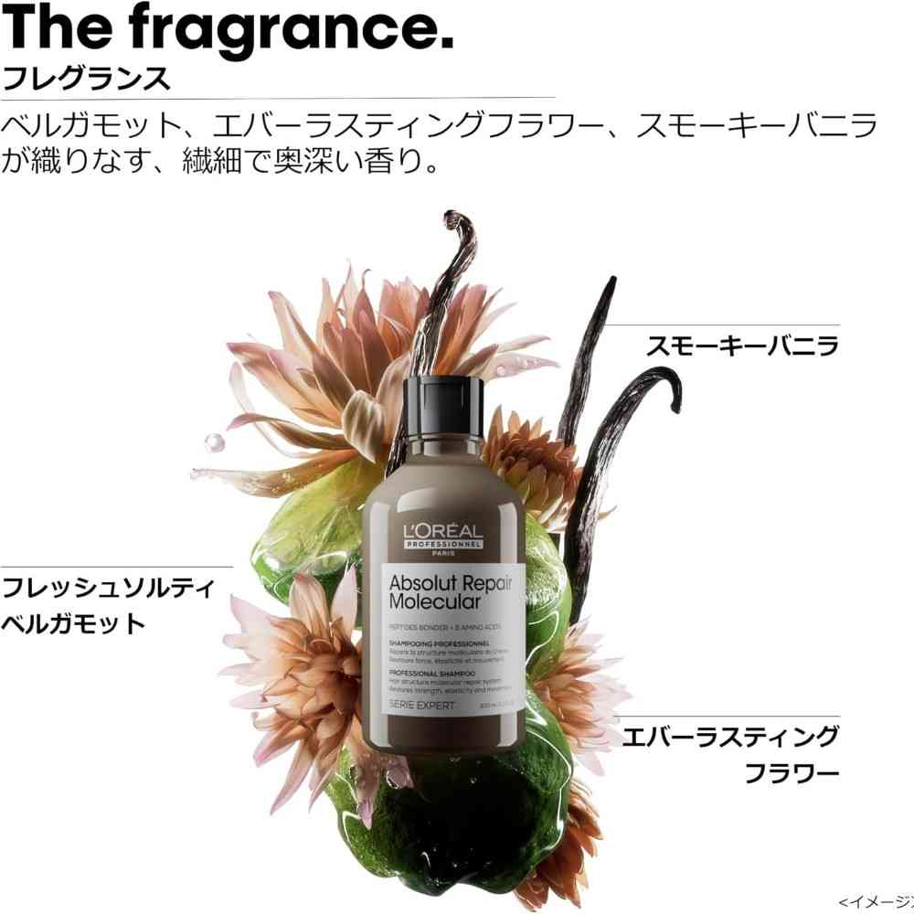 ロレアル セリエ アブソルート R モレキュラー シャンプー 1500ml