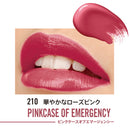 Rimmel Lasting Provocalypse Lip Color 210 Pink Case of Emergency 3.9g