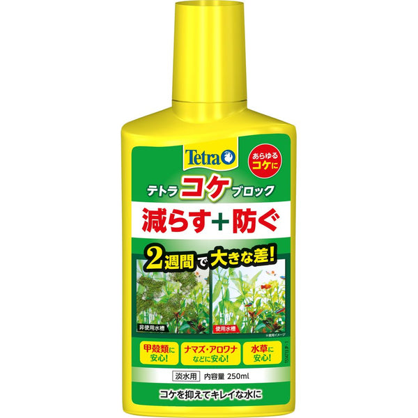 スペクトラムブランズジャパン　テトラ コケブロック 250ml 250ml