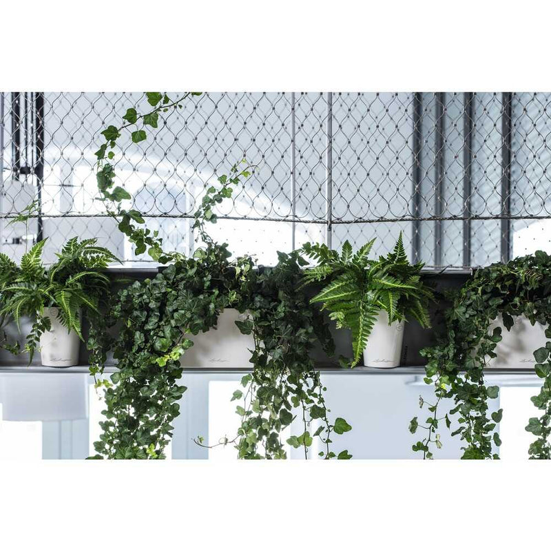 Lechuza 底面給水プランター デルティーニ 土容量1.2L メーカー直送 ▼返品・キャンセル不可【他商品との同時購入不可】