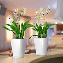 Lechuza 底面給水プランター デルティーニ 土容量1.2L メーカー直送 ▼返品・キャンセル不可【他商品との同時購入不可】