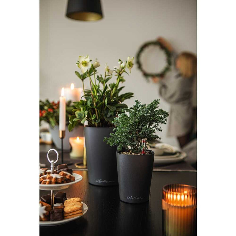 Lechuza 底面給水プランター デルティーニ 土容量1.2L メーカー直送 ▼返品・キャンセル不可【他商品との同時購入不可】