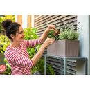 Lechuza 底面給水プランター バルコネラ コテージ メーカー直送 ▼返品・キャンセル不可【他商品との同時購入不可】