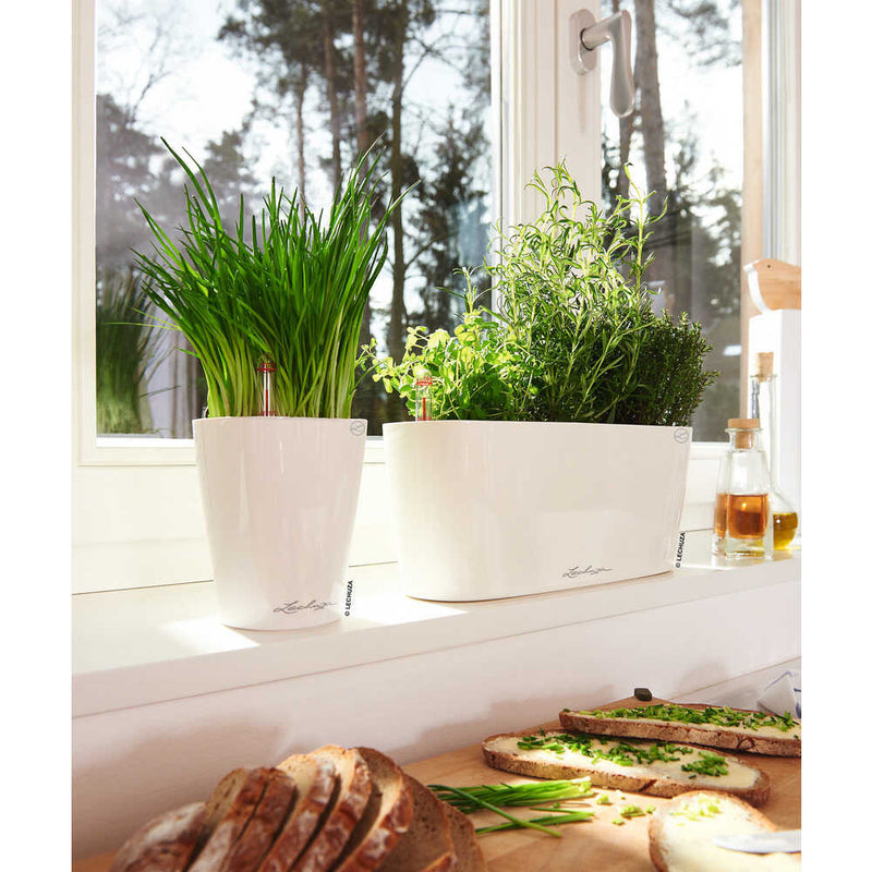 Lechuza 底面給水プランター デルタ10 土容量2L メーカー直送 ▼返品・キャンセル不可【他商品との同時購入不可】