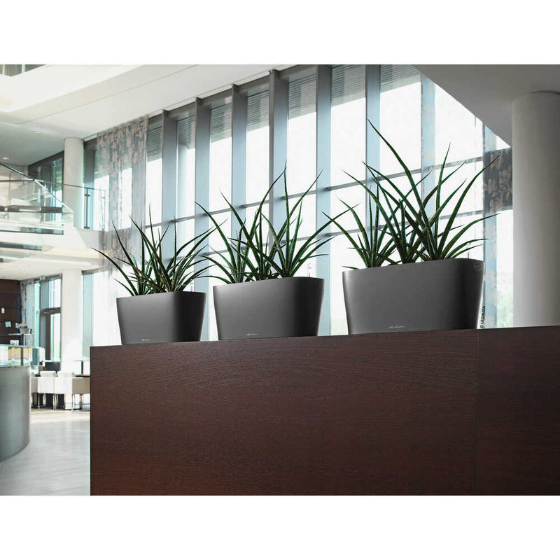 Lechuza 底面給水プランター デルタ10 土容量2L メーカー直送 ▼返品・キャンセル不可【他商品との同時購入不可】