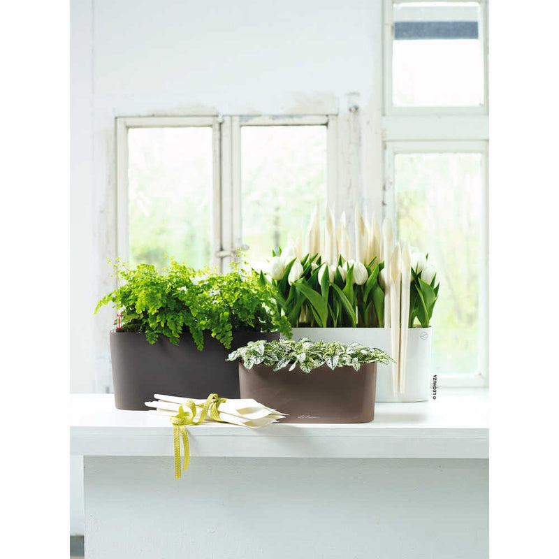 Lechuza 底面給水プランター デルタ20 土容量5L メーカー直送 ▼返品・キャンセル不可【他商品との同時購入不可】