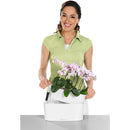 Lechuza 底面給水プランター デルタ20 土容量5L メーカー直送 ▼返品・キャンセル不可【他商品との同時購入不可】