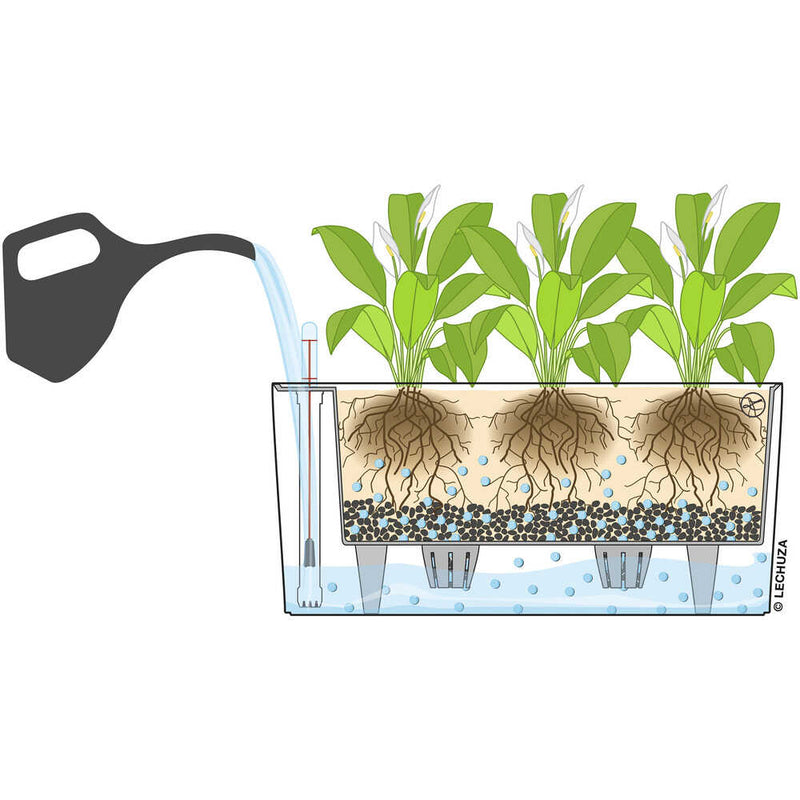 Lechuza 底面給水プランター デルタ20 土容量5L メーカー直送 ▼返品・キャンセル不可【他商品との同時購入不可】