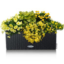 Lechuza 底面給水プランター バルコネラ コテージ メーカー直送 ▼返品・キャンセル不可【他商品との同時購入不可】