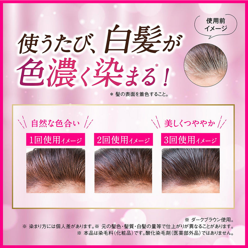 DHC Q10 Premium Color Treatment (for gray hair) Light Brown 150g