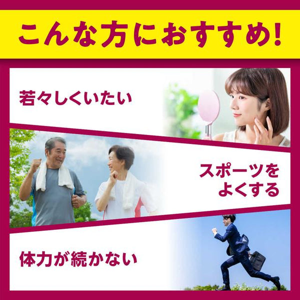 ◇DHC コエンザイムQ10包接体 60日 120粒