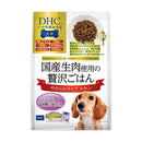 DHC 国産生肉使用の贅沢ごはん やわらかタイプ チキン シニア 700g