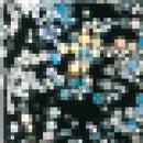 pa Nail Color Premier AA217