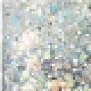 pa Nail Color Premier AA225