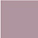 paNail Color One Coat ONE06