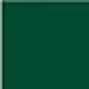 paNail Color One Coat ONE10