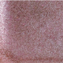 Dear Laura pa Nail Color One Coat Finish F020