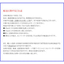 耐火金庫 ホテル＆プライベートセーフ キータイプ CH30-1 【直送品】 返品・キャンセル・他商品と同時購入は不可