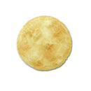 トーラス わんべい 80g