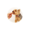 トーラス 五穀わんべい 64g