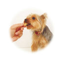 トーラス 五穀わんべい 64g