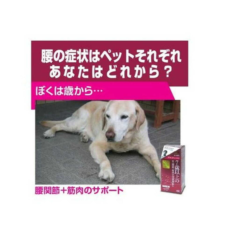 トーラス アルク シニアの子 75粒