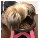 トーラス おいしい納豆 ラクトフェリンプラス 30g