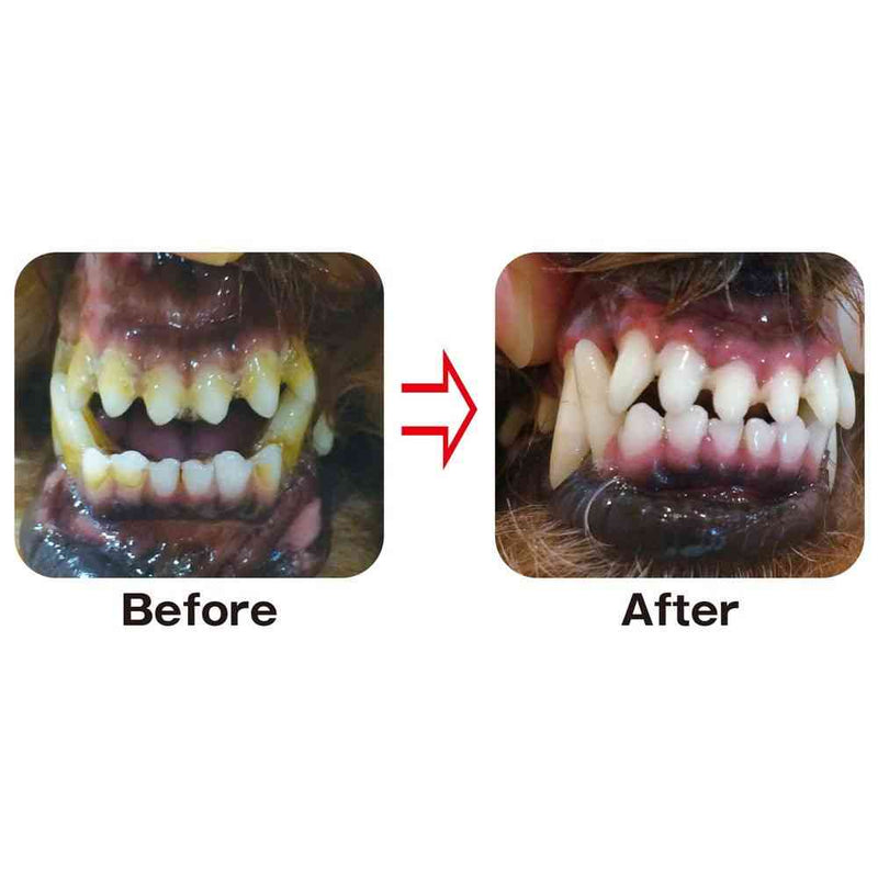 トーラス プラケアシート 30枚