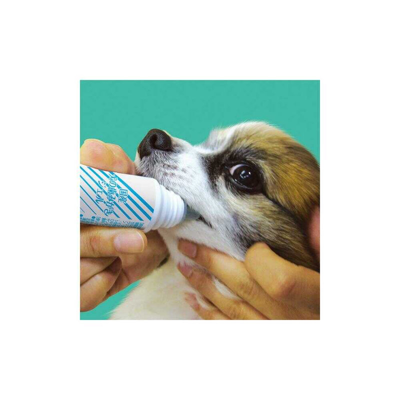 トーラス 国産 犬の歯みがきジェル 30ml