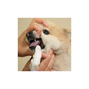 トーラス フィンガー歯ブラシスリム ２枚