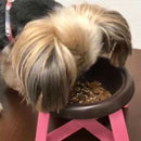 トーラス おめめのサプリ 25g