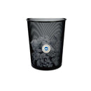 トーラス アチコチノン ４個