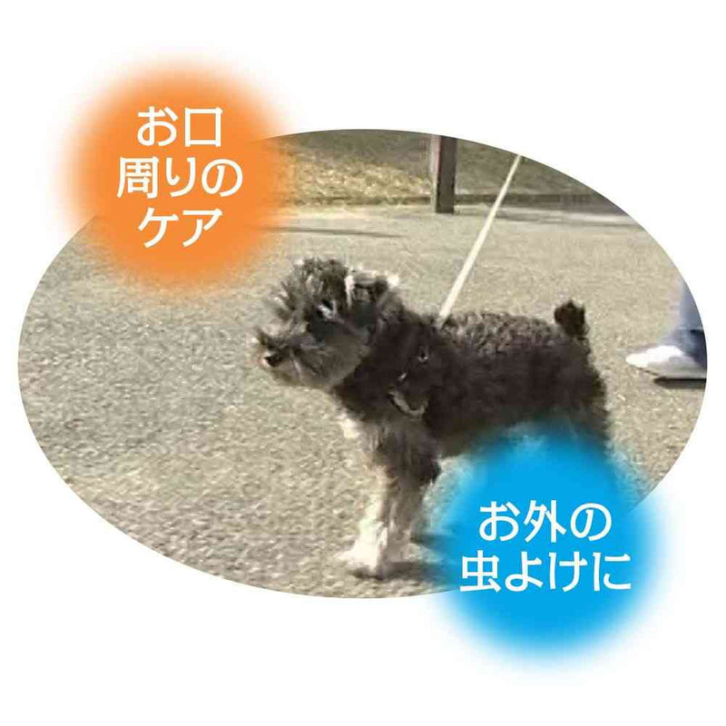 トーラス まるごとお手入れスプレー 300ml