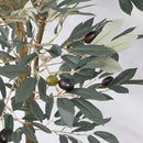 オリーブツリー 80954 【直送品】 返品・キャンセル・他商品と同時購入は不可