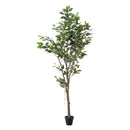 フィカスツリー 80955 【直送品】 返品・キャンセル・他商品と同時購入は不可