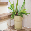 81055 アーバンプランツポット ソリッド ミルク 【直送品】 返品・キャンセル・他商品と同時購入は不可