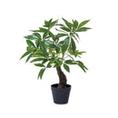 フェイクグリーン パキラ 81128 【直送品】 返品・キャンセル・他商品と同時購入は不可