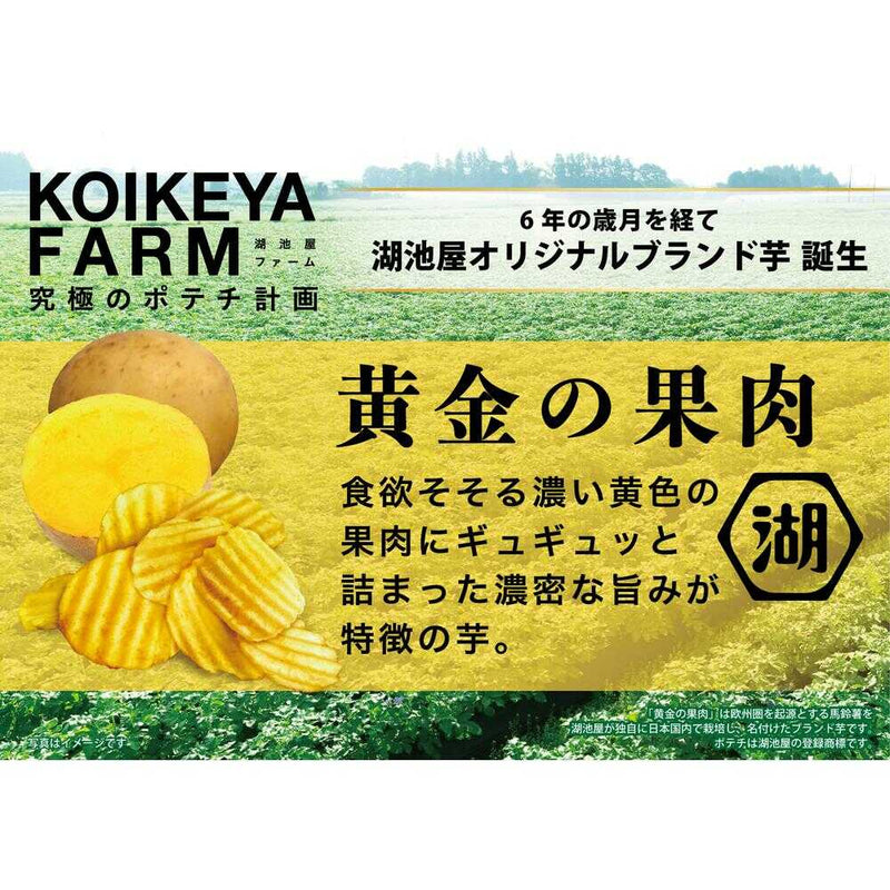 ◆湖池屋 KOIKEYAFARM黄金の果肉天海の焼き塩 55g