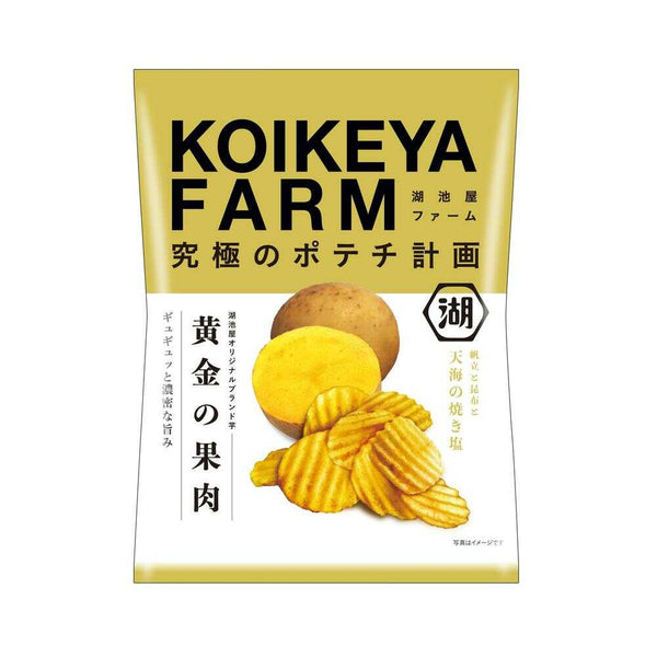 ◆湖池屋 KOIKEYAFARM黄金の果肉天海の焼き塩 55g