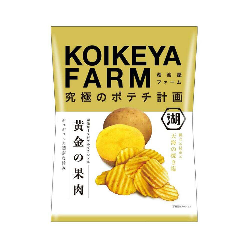 ◆湖池屋 KOIKEYAFARM黄金の果肉天海の焼き塩 55g