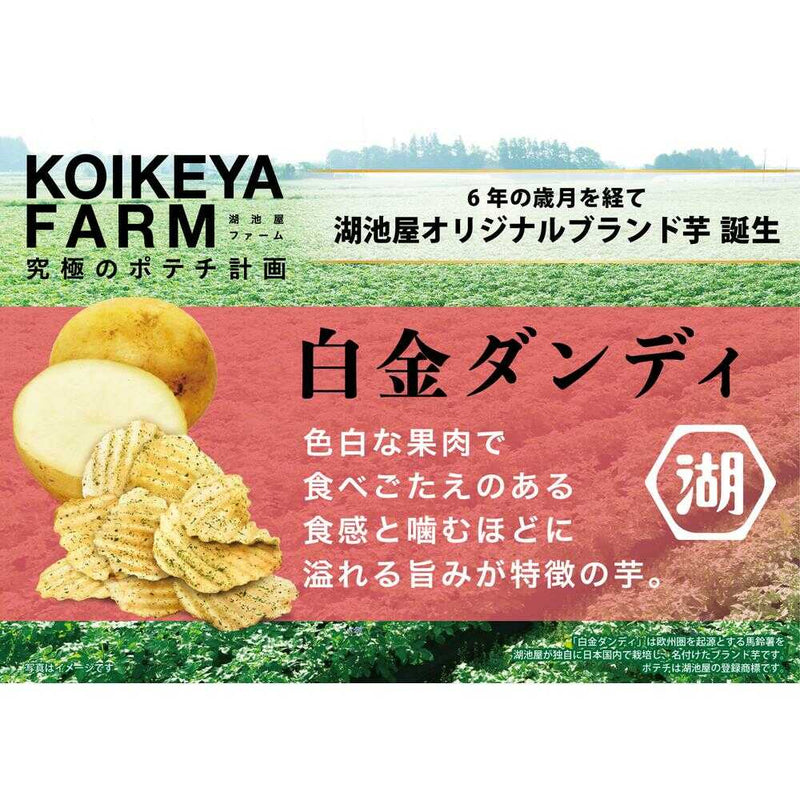 ◆湖池屋 KOIKEYAFARM白金ダンディすじ青のり 55g